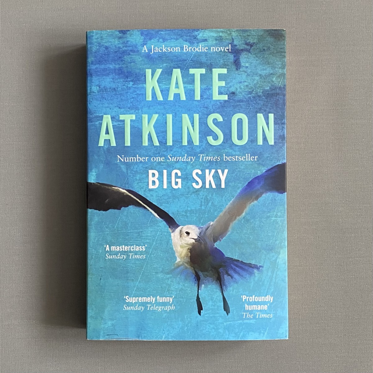 Big Sky By Kate Atkinson