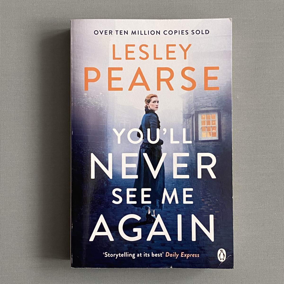 You'll Never See Me Again By Lesley Pearse