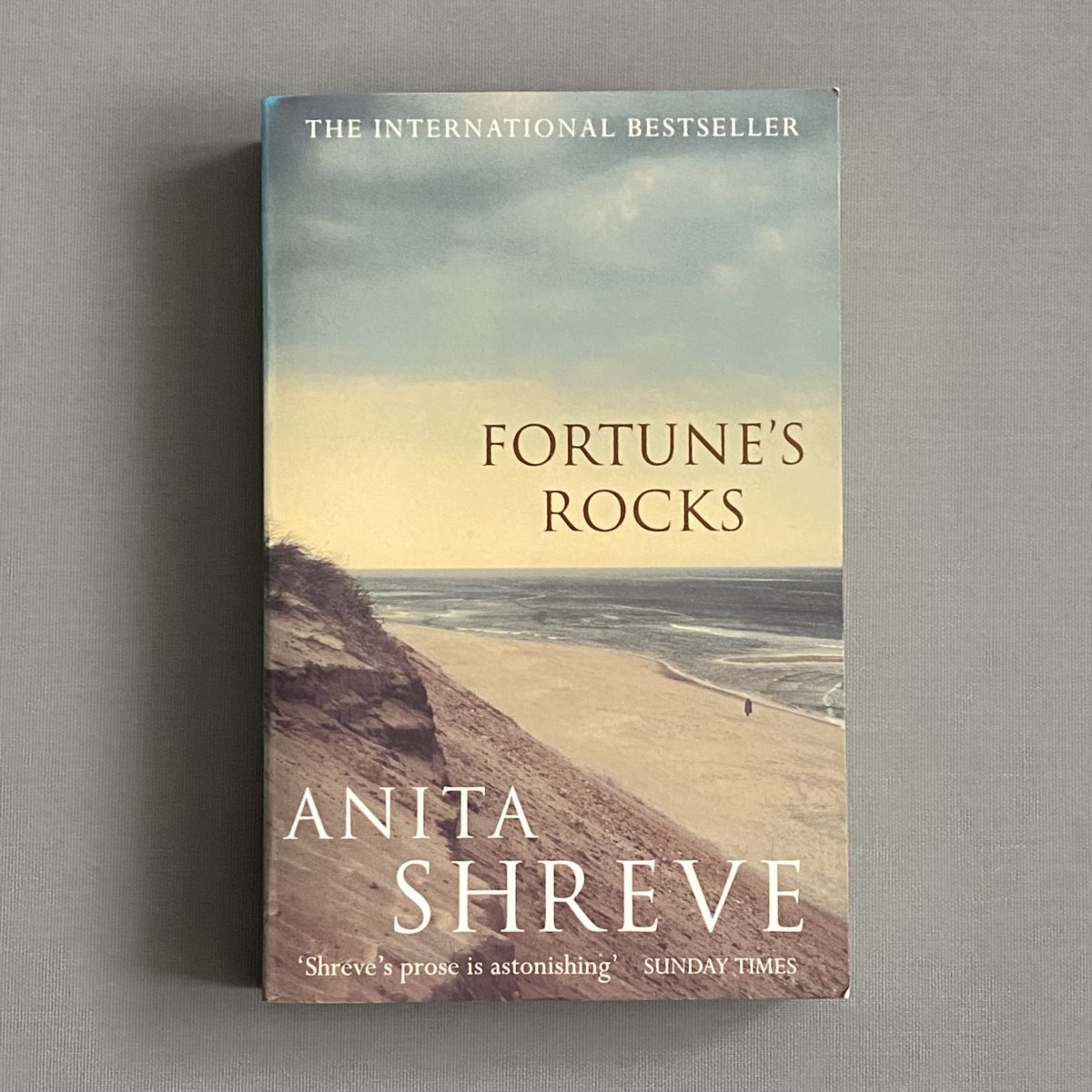 Fortune's Rocks By Anita Shreve