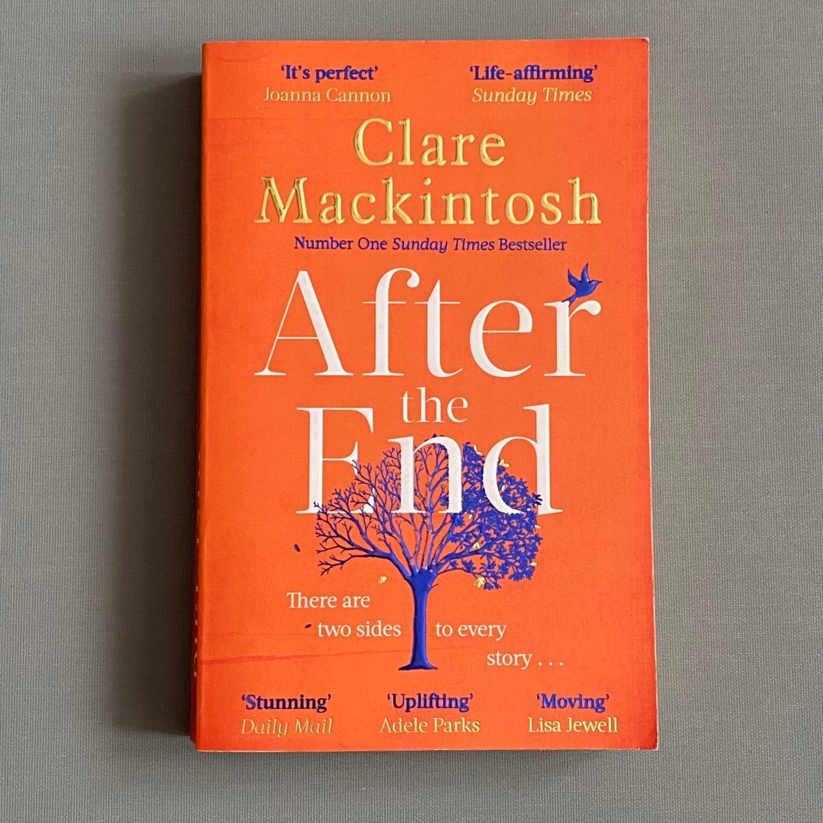 After the End by Claire Mackintosh