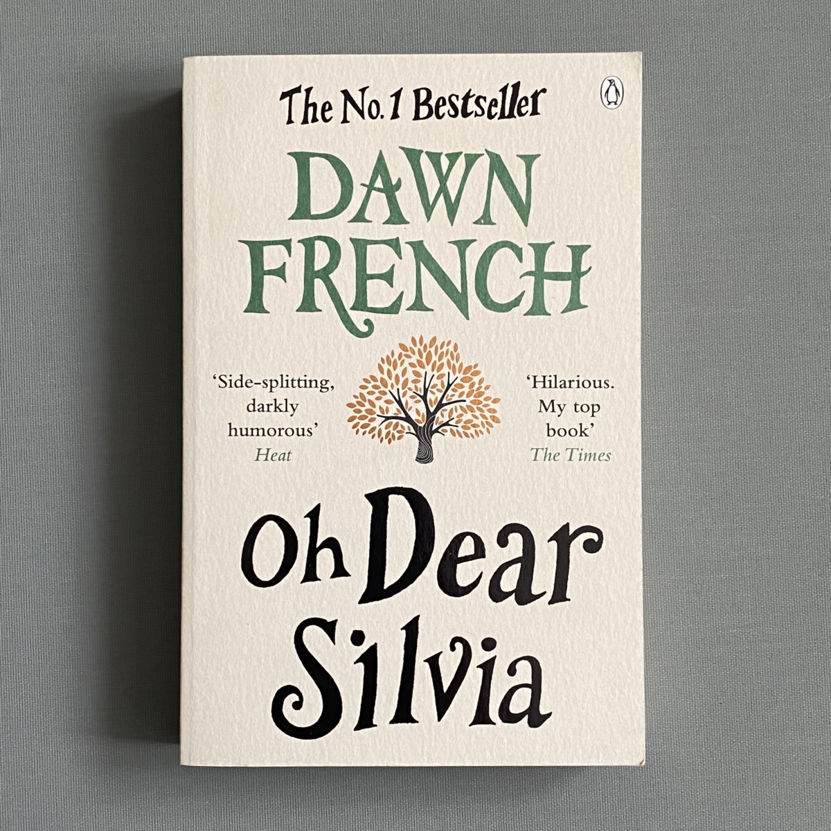 Oh Dear Silvia By Dawn French