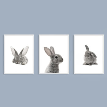 Set of 3 Rabbit Prints - Grey