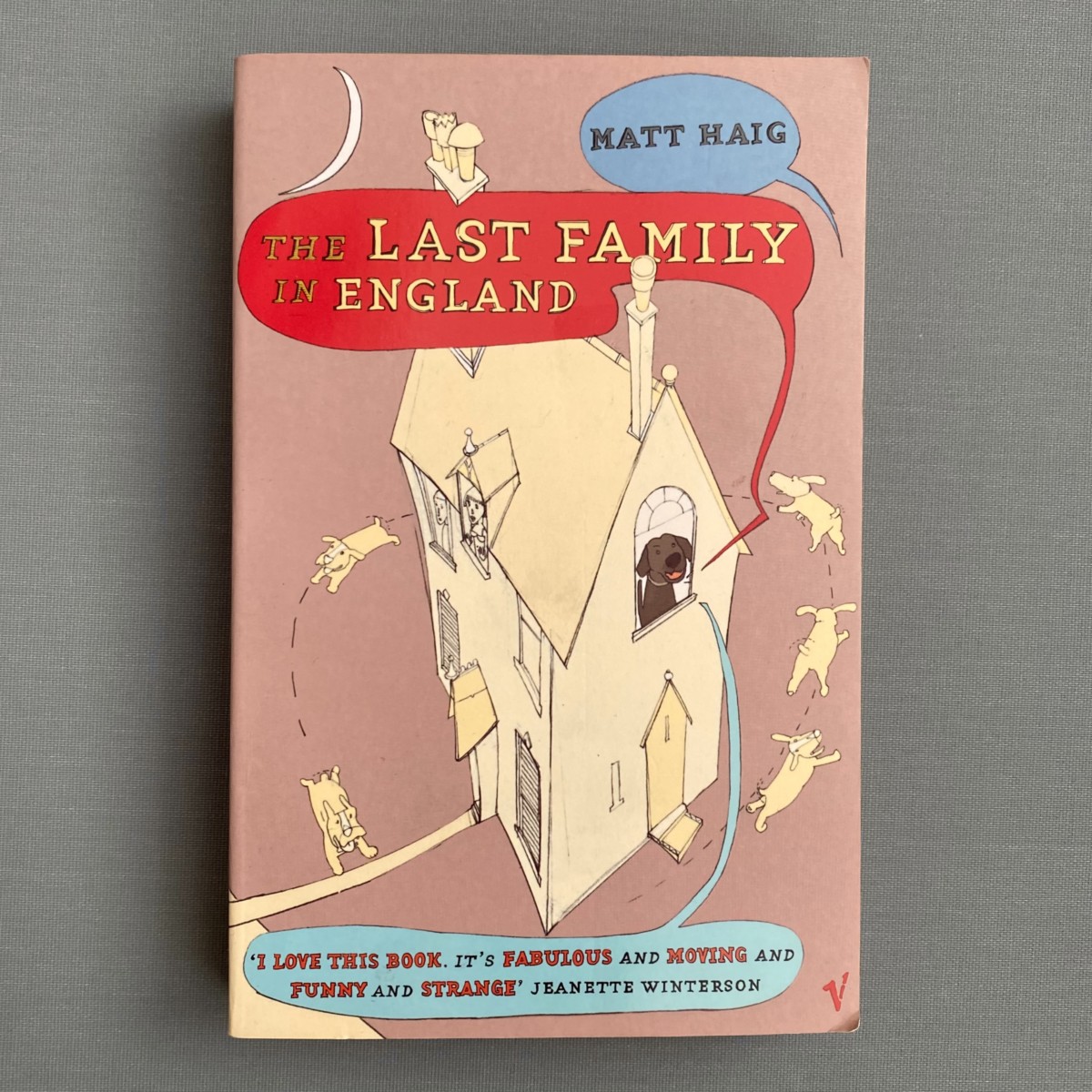 The Last Family in England By Matt Haig