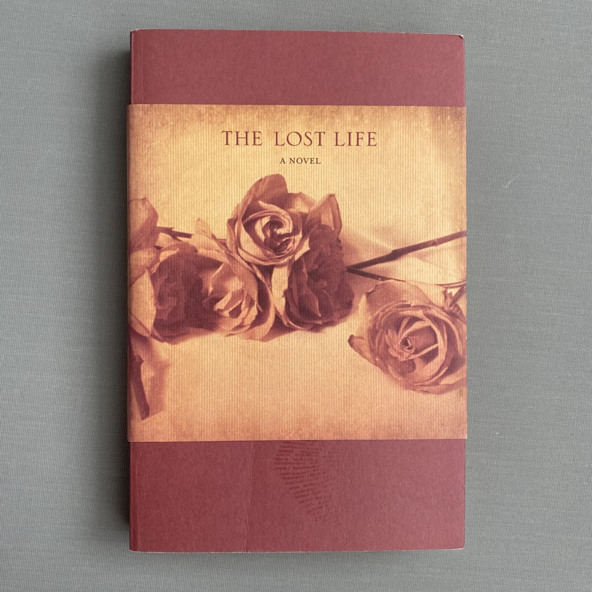 The Lost Life By Steven Carroll