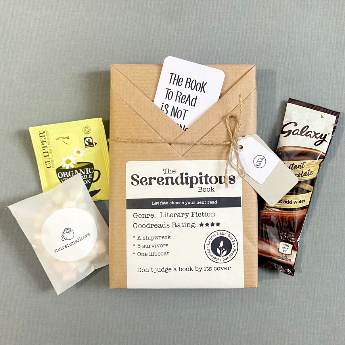 The Serendipitous Book