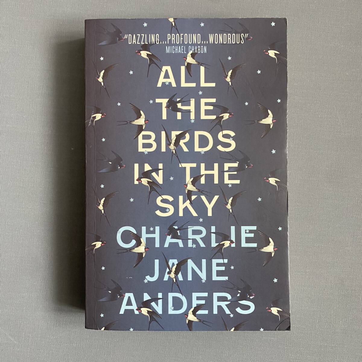 All the Birds in the Sky By Charlie Jane Anders