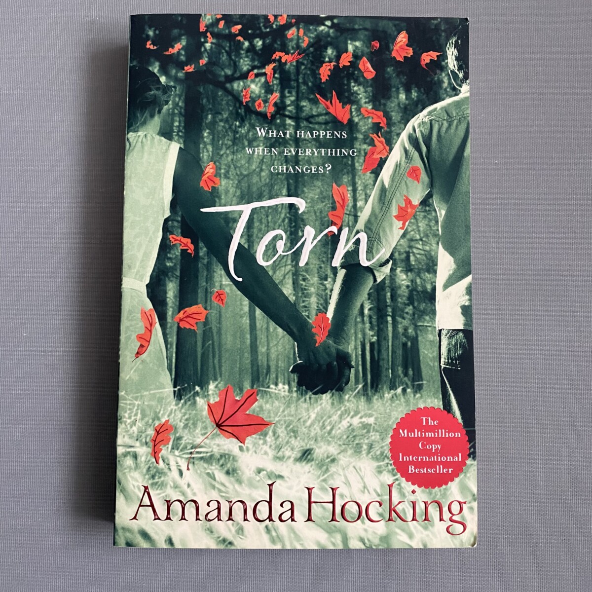 Torn By Amanda Hocking